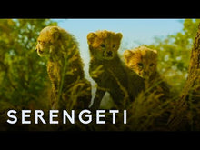 Load and play video in Gallery viewer, Serengeti: Season 1
